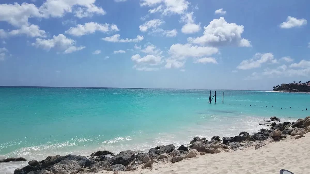 Tamarijn Aruba All Inclusive - Image 8