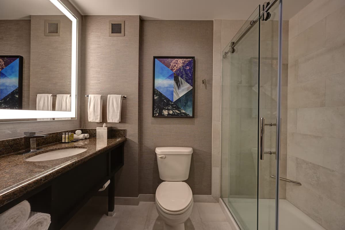 DoubleTree by Hilton Denver International Airport, CO - Image 5