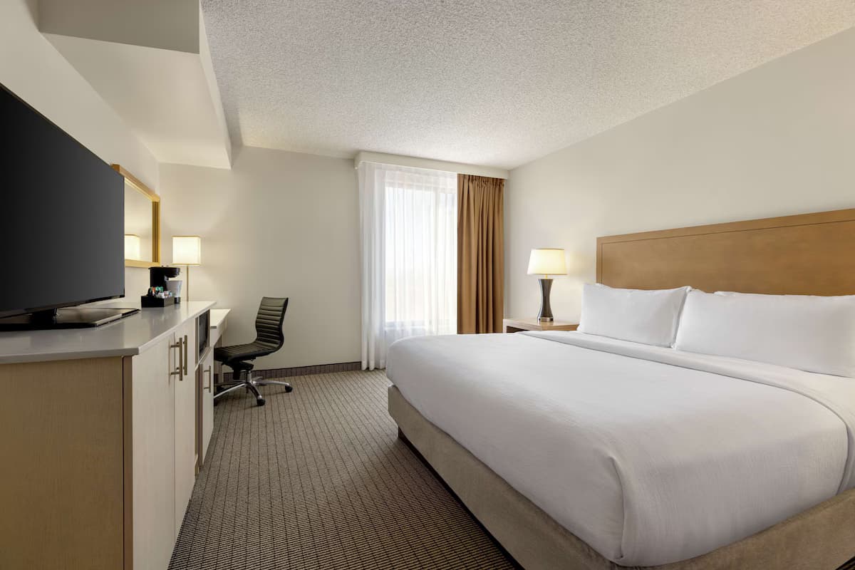 Embassy Suites by Hilton Denver International Airport - Image 6