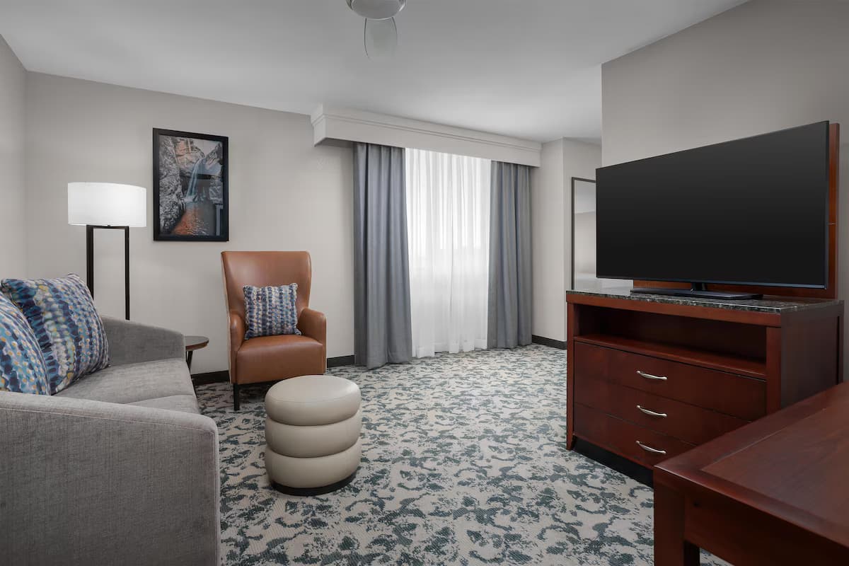 Hilton Garden Inn Denver Downtown - Image 6