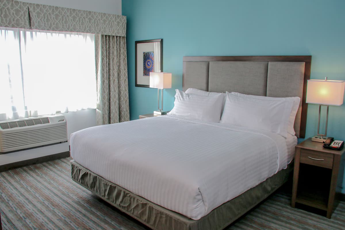 Holiday Inn & Suites Denver Tech Center-Centennial by IHG - Image 7