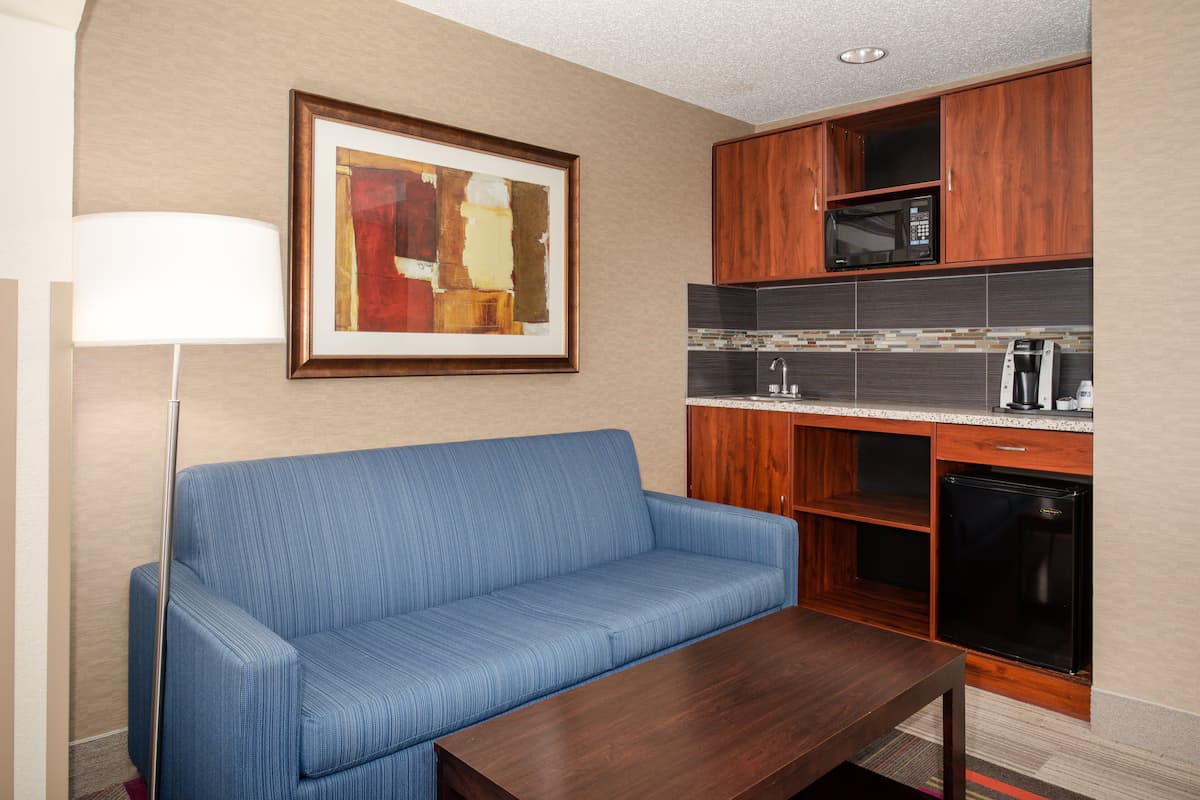 Holiday Inn Express & Suites Denver SW-Littleton by IHG - Image 5