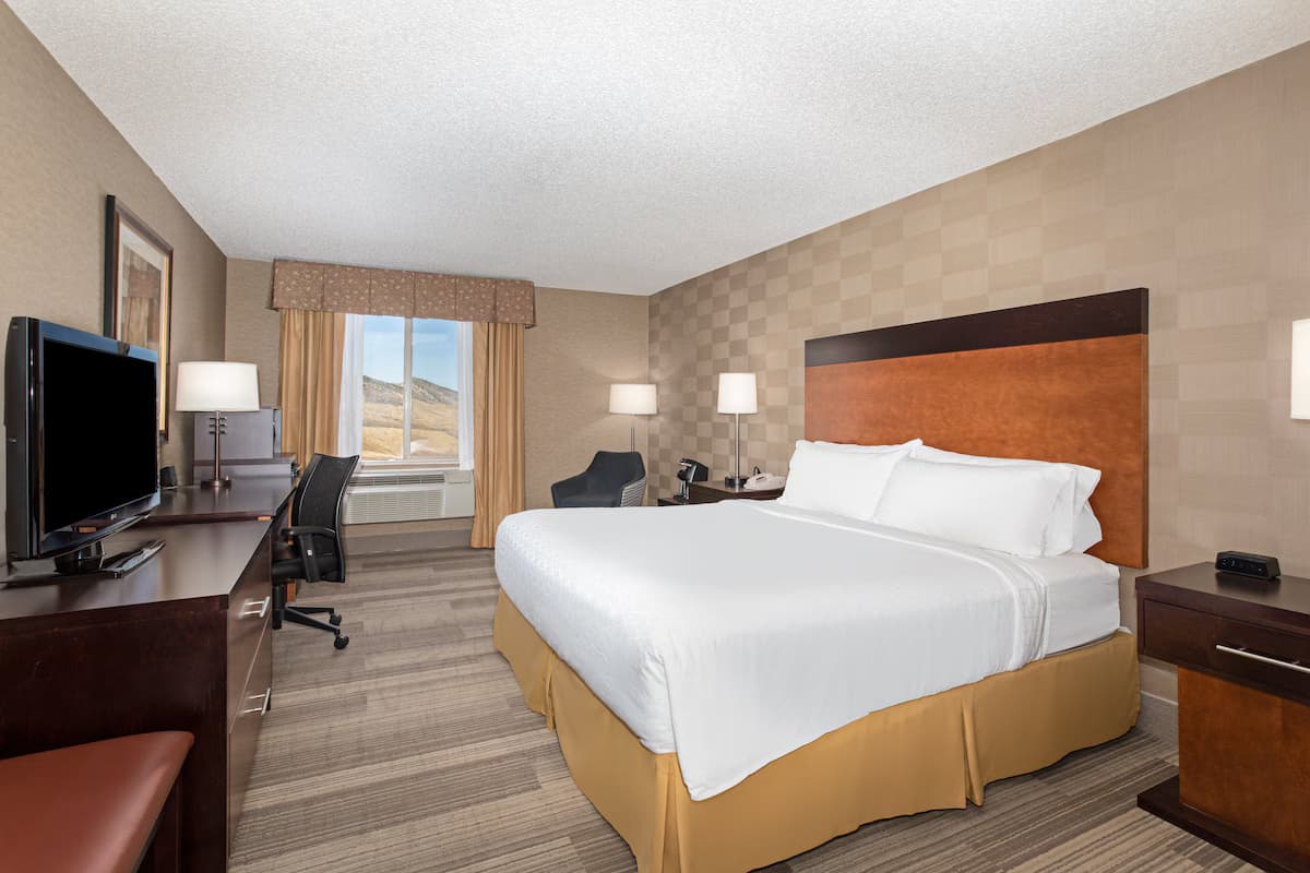 Holiday Inn Express & Suites Denver SW-Littleton by IHG - Image 6
