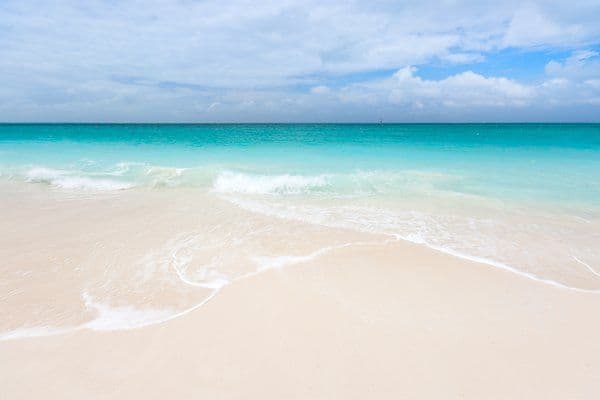 Parrot Cay